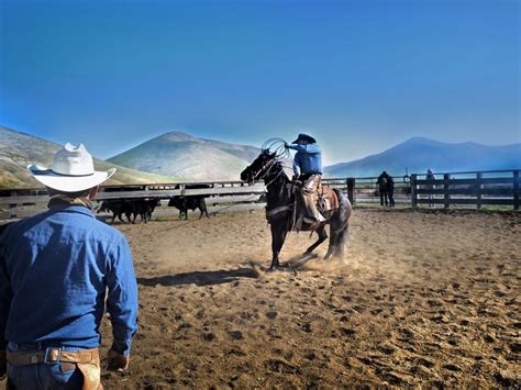 In Old California - การผจญภัยของเหล่าโคเวย์บอยและความรักที่คลุกเคล้าด้วยฝุ่นควันในยุคไพศาล!